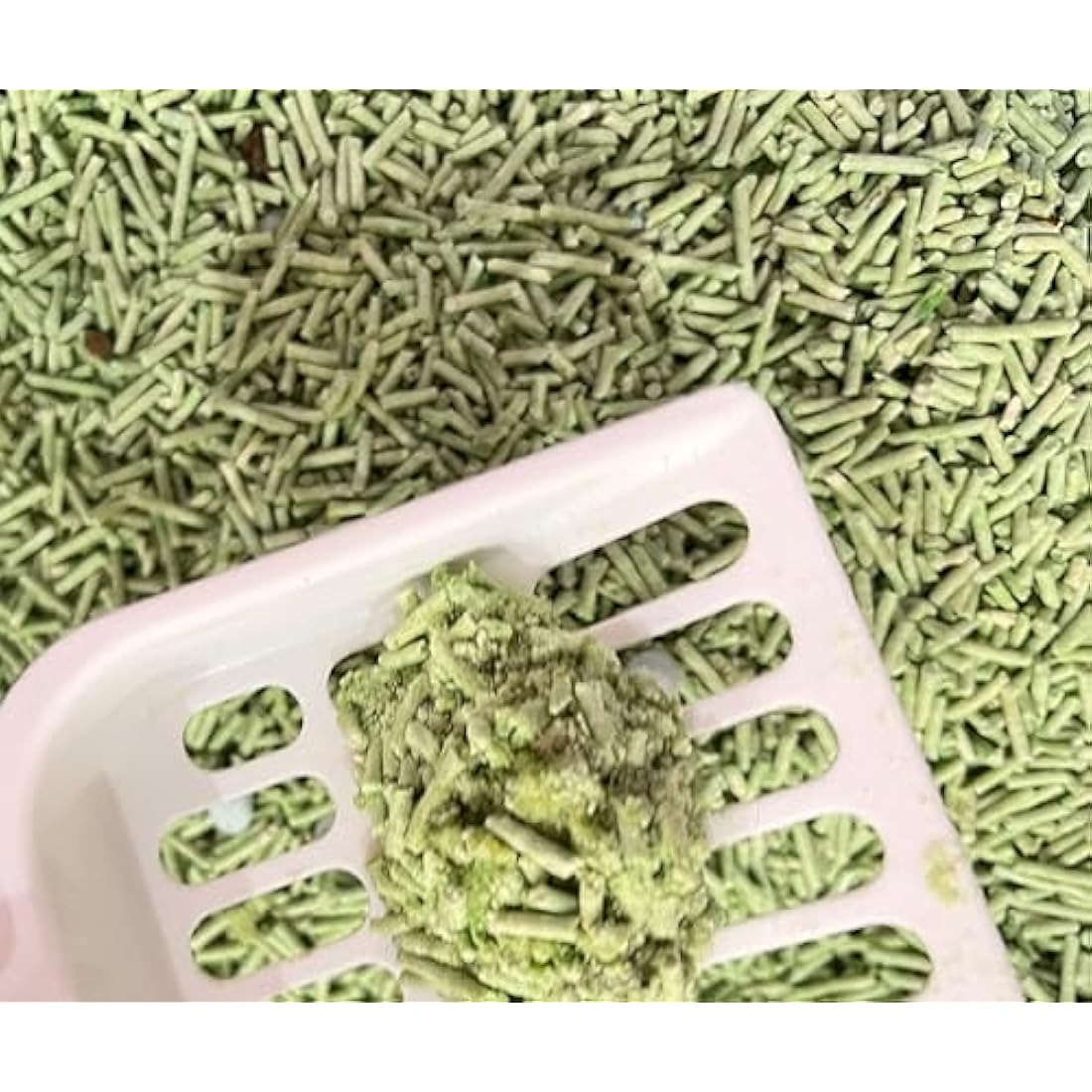 HS Petcare Organic Tofu Cat Litter Original Scent, Ultra clumping, Great odour control, Flushable reduce waste, Long lasting Dust free (Pack of 3 (21L), Green Tea/Matcha)