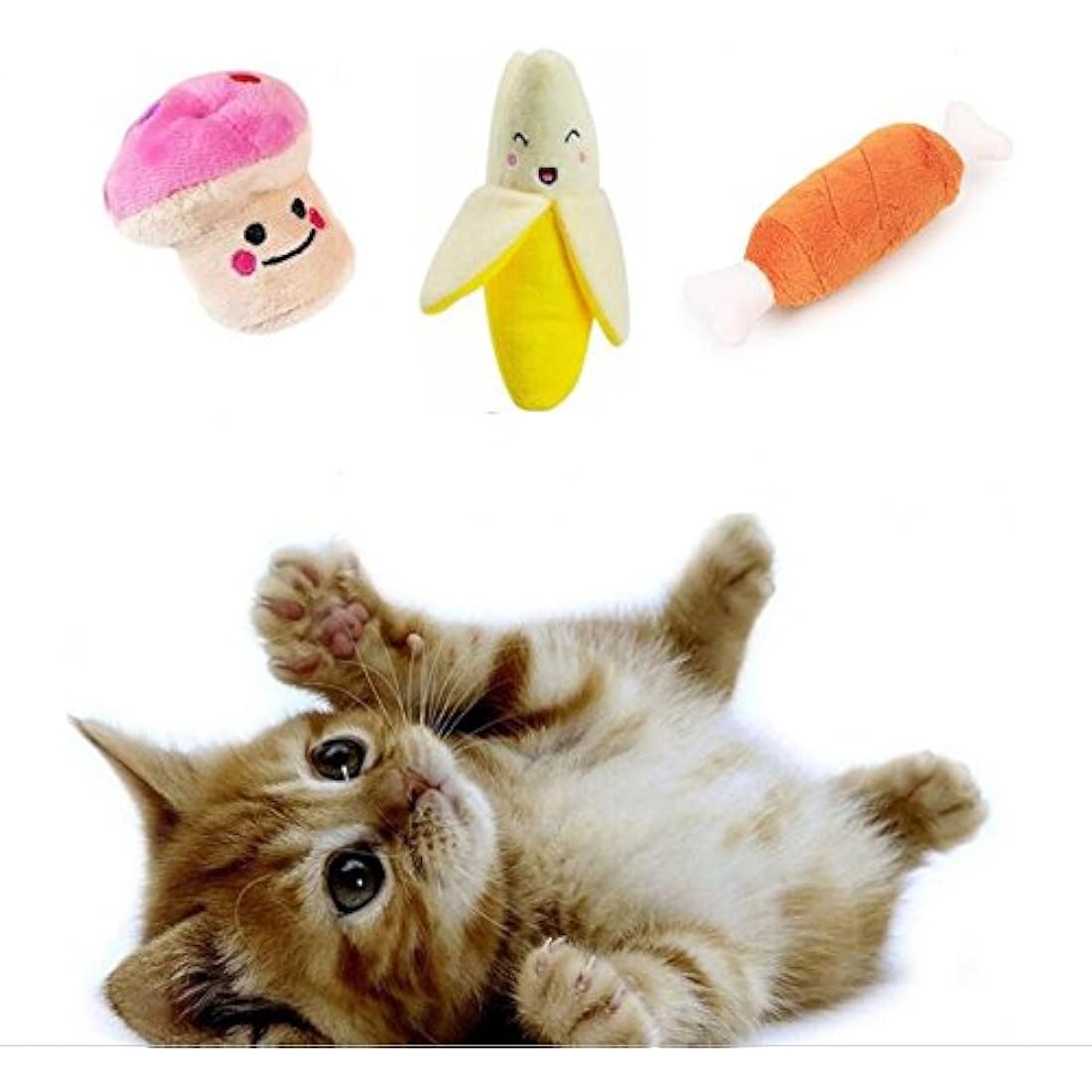 Emwel Small Dog Toys Squeaky Dog Toys Pets Squeaky Toy, 6 PCs Plush Puppy Toys for Small Medium Dogs