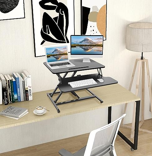 ERGOMAKER Standing Desk Converter, 26"/64cm Wide Height Adjustable Quick Sit to Stand Up Desk Riser for Dual Monitor