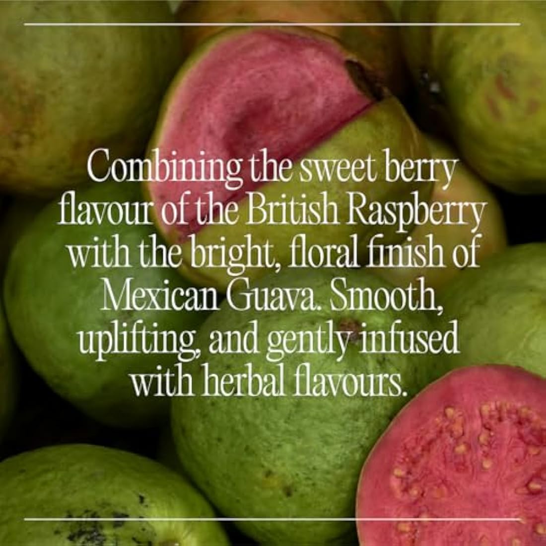 Goodrays - 30mg CBD Drink - 24 x 250ml Cans - Raspberry & Guava - Natural Flavours, Low Calorie, Vegan - High Strength (30mg/can), All Natural - Reduce Stress & Unwind, Packaging May Vary