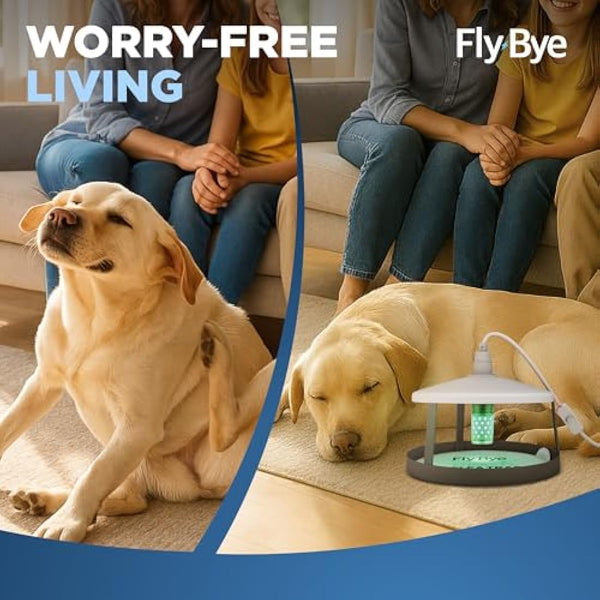 Fly-Bye Flea Trap Sticky Discs (24 Pack) – Non-Toxic Replacement Pads for Home Fleas Trap – Safe Alternative to Flea Sprays & Bombs