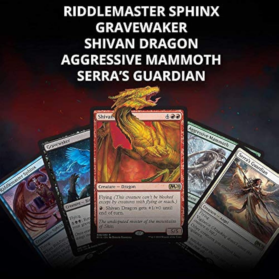 Magic: The Gathering C60281010 Trading Cards