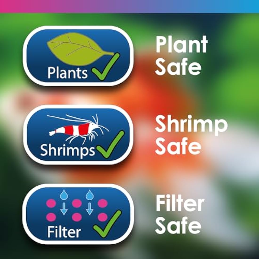 NT Labs Aquarium Swimbladder Treatment, Tropical and Coldwater Aquarium Medicine, Treatment for Internal Bacterial Infections, Treats fish buoyancy and stability issues (100 ml)