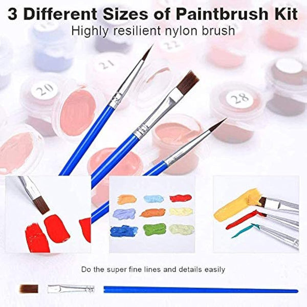 Painting by Numbers Kits for Adult or Kids, DIY Canvas Oil Painting Kit with Paint Brushes Acrylic Pigment Drawing Paintwork 16x20inch Without Frame(Ballon)