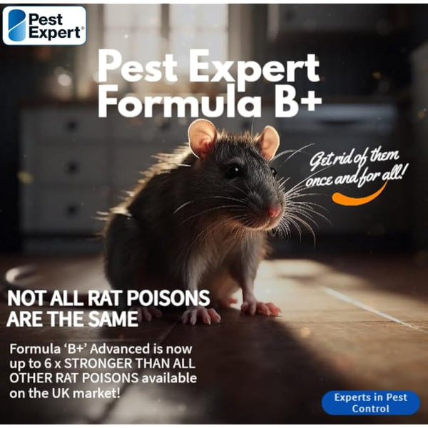 Pest Expert Formula 'B+' Advanced Rat & Mouse Killer Poison Bait Blocks Super Strength 600g (2 x 300g) - Premium Single Feed Brodifacoum, Strongest Available Online (1)
