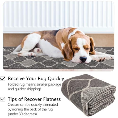 Cekene Carpet Runners for Hallways Non Slip 65x300cm Long kitchen Runners Machine Washable Low Profile Floor Runner Rug for Kitchen Hallway Entryway