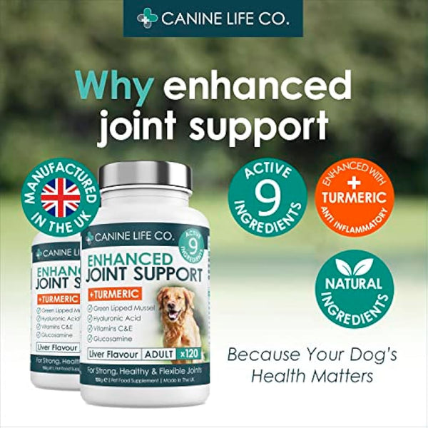 Enhanced Adult Dog Joint Supplements With Turmeric, Glucosamine & Green Lipped Mussel 300 Chewable Tablets Made In The UK - Canine Life Co. (1 Pot (300 Tablets))