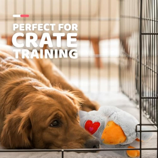 ALL FOR PAWS Puppy Heartbeat Toys Grey Sheep, Dog Behavioral Aid Plush Toy, Pet Snuggle Plush Toy for Puppies Dog with Heartbeating