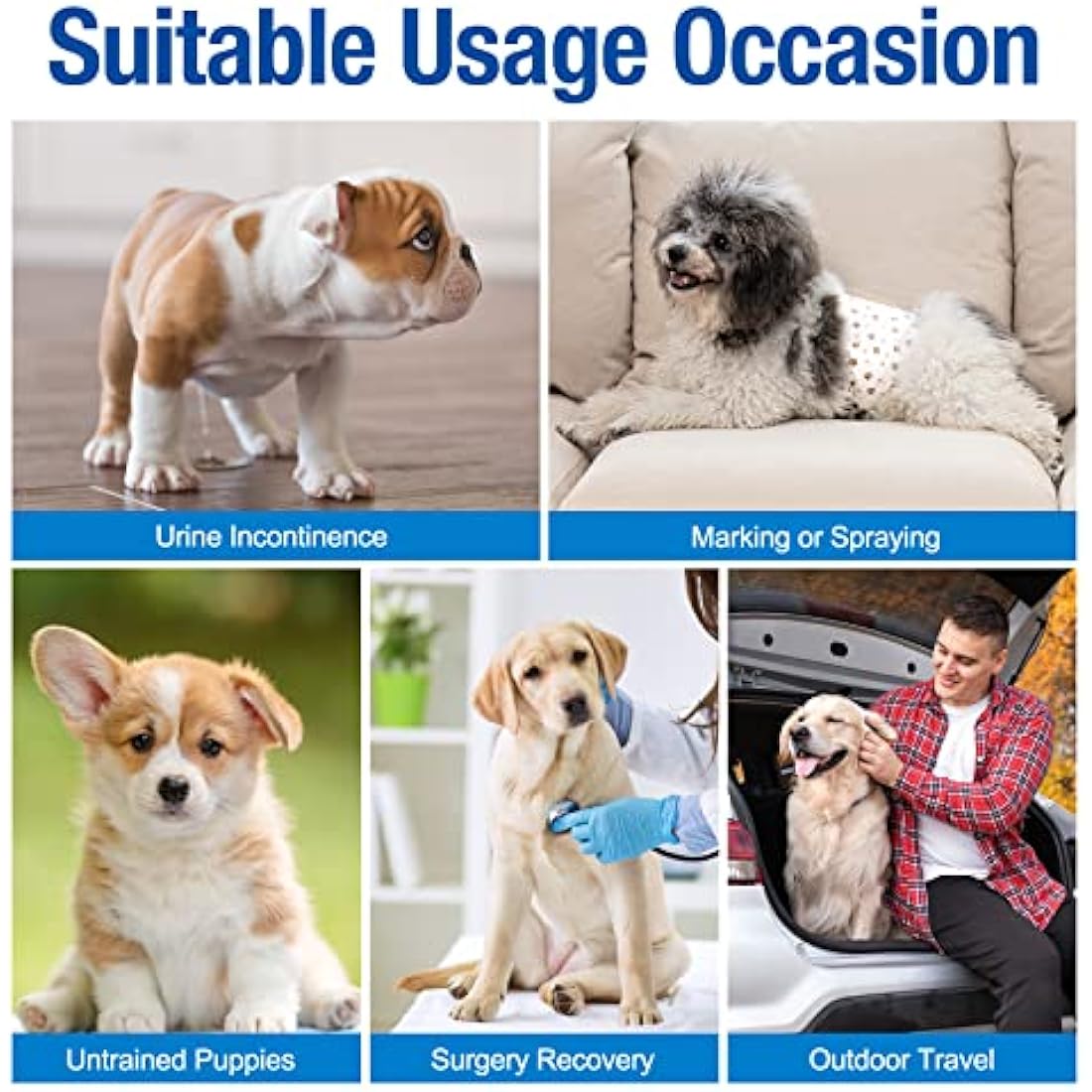 Pet Soft Dog Nappies Male-Disposable Male Dog Wraps 20 Counts, Super Absorbent Puppy Dog Diapers Incontinence Nappy Wraps with Wetness Indicator (L-20 Count)