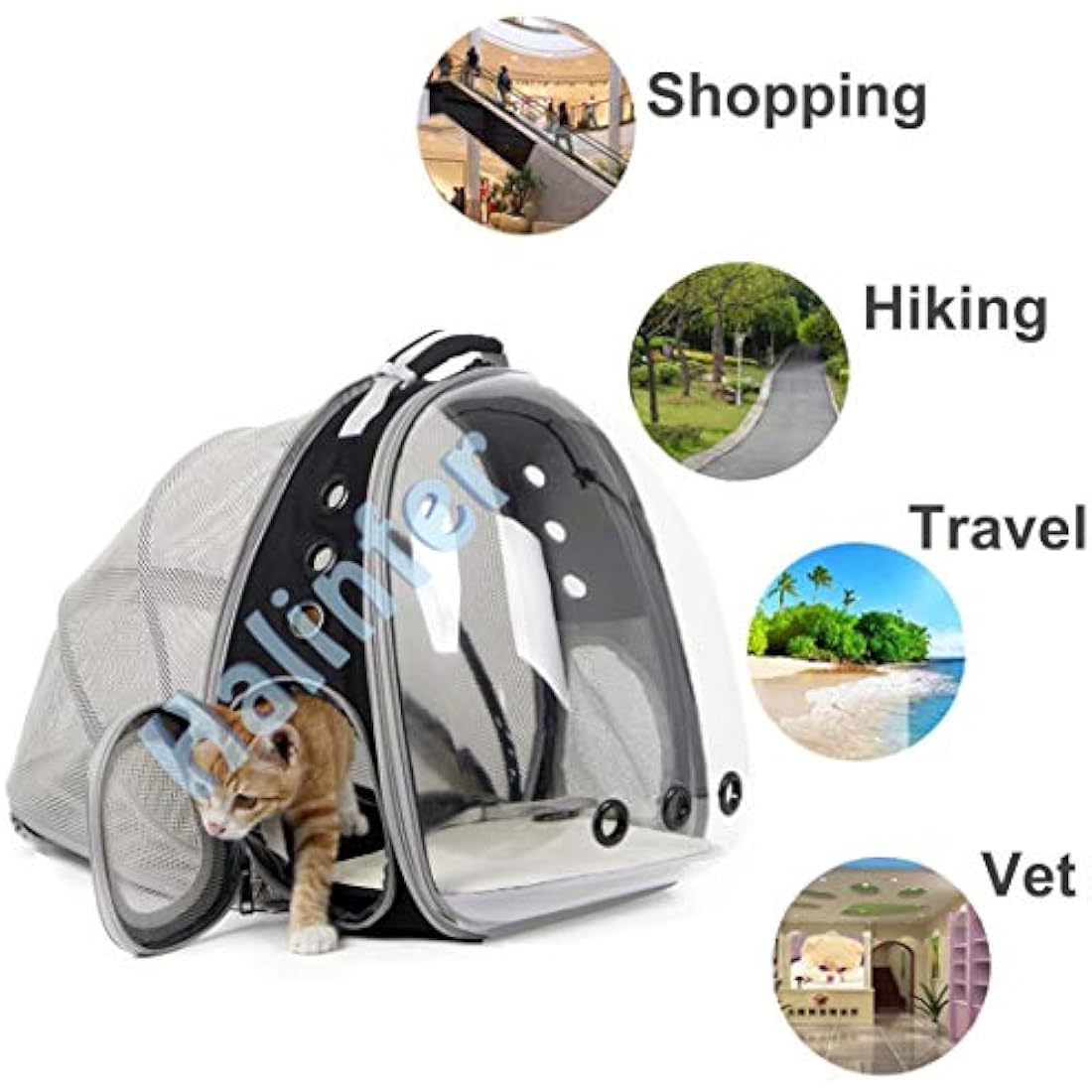 Interfashioner® Cat Backpack Carrier, Fit up to 5.5 kgs Pet, Back Extension Space Capsule Clear Bubble Window Pet Carry Transport Book Bag for Kitten Bunny(Black, Back Extension)