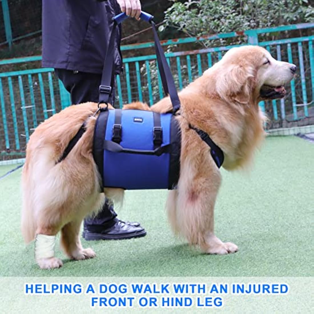 Dog Carry Sling, Emergency Backpack Pet Legs Support & Rehabilitation Dog Lift Harness for Nail Trimming, Dog Carrier for Senior Dogs Joint Injuries, Arthritis, Up and Down Stairs (Blue, XL)