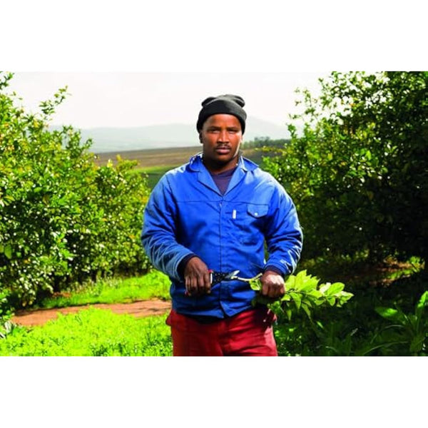 Felco Secateurs l83 Model 5 Economy, Red