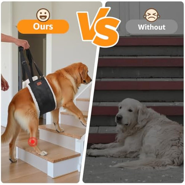 Adjustable Dog Lifting Harness, Support and Rehab Harness for Weak Rear Legs, Soft Sling Assist The Dog Who are Senior, Injured, Disabled and After ACL Surgery Rehabilitation (For Extra Large Dog)