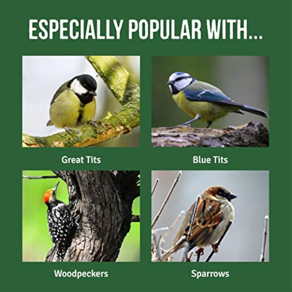 Feeding Station, Heavy Duty Bird Feeding Station with Three Hooks for Hanging Feeders, Easy to Assemble, Great for Any Garden or Outdoor Area - Honeyfield's (188x47cm), Black