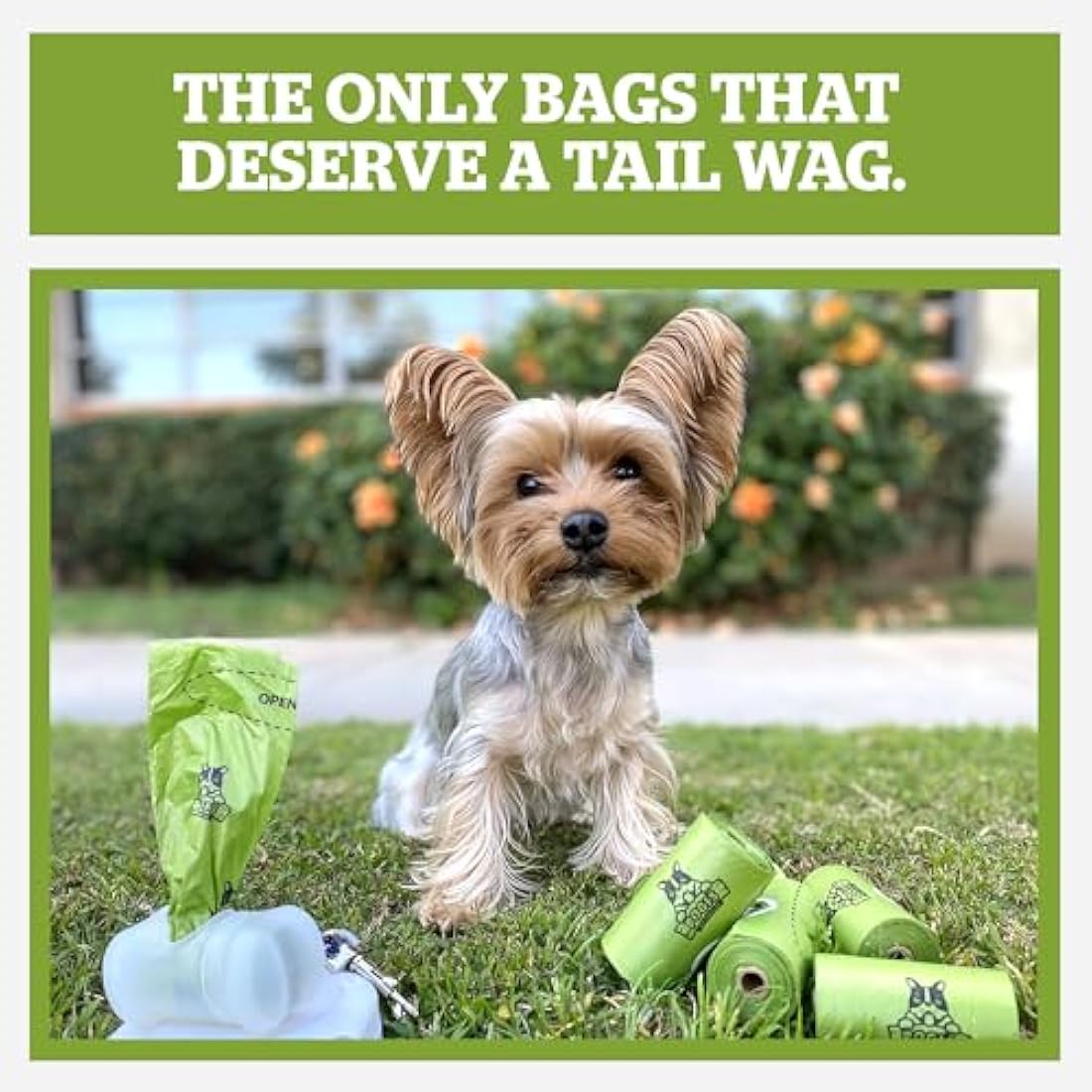 Pogi's Compostable Dog Poo Bags – Leak-Proof, Extra-Large, Made with Plants – 32 Rolls (480 Bags)