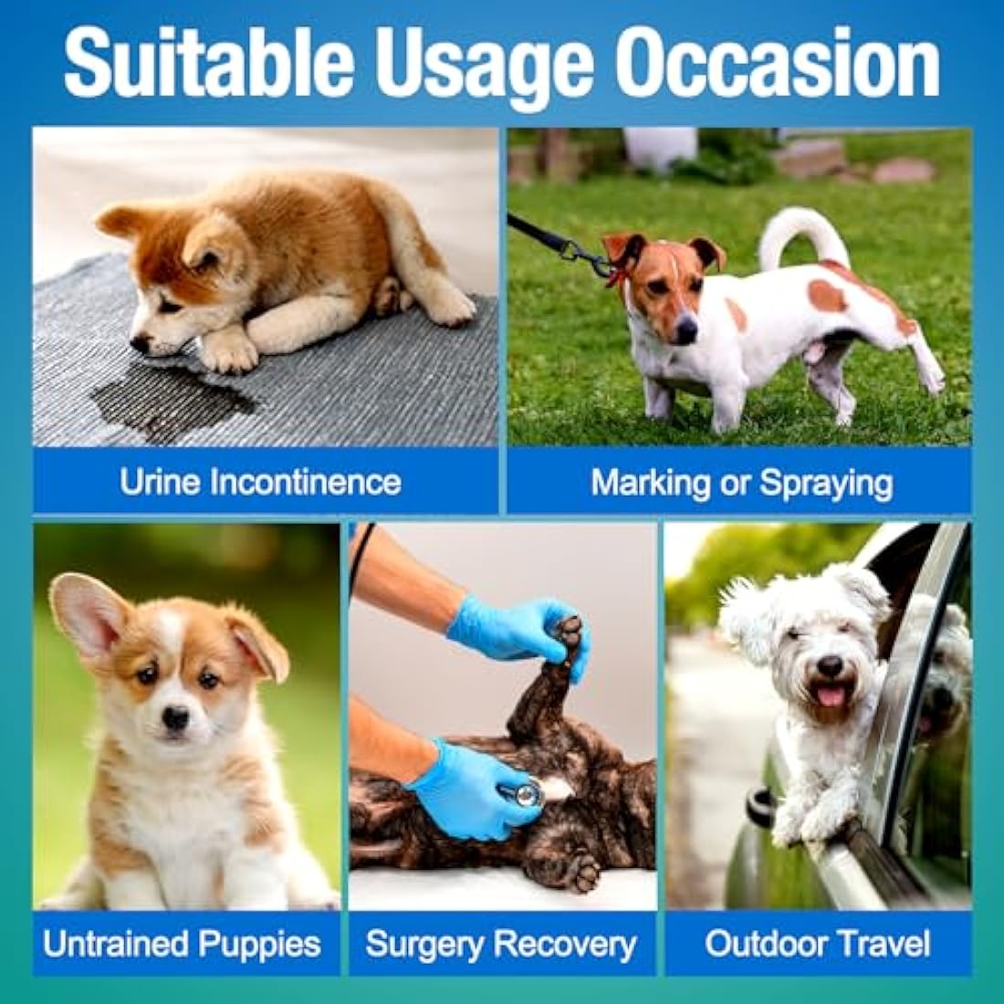 Pet Soft Dog Nappies - Super Absorbent Disposable Dog Wraps with Wetness Indicator, 50 Counts Incontinence Nappy Wraps (L-50 Count)