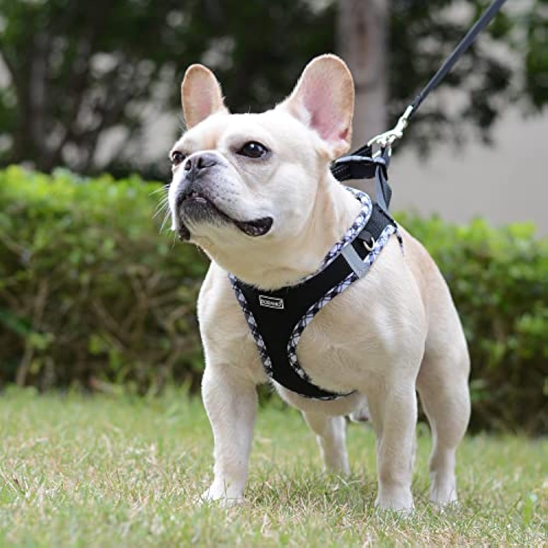 DORAMIO Step-in Dog Harness and Leash Set, Soft Mesh No-Chock Reflective Breathable Easy Walk Lightweight Vest Harnesses with Safety Buckle for Small Dogs, Cats, Puppies (Black White, XL)