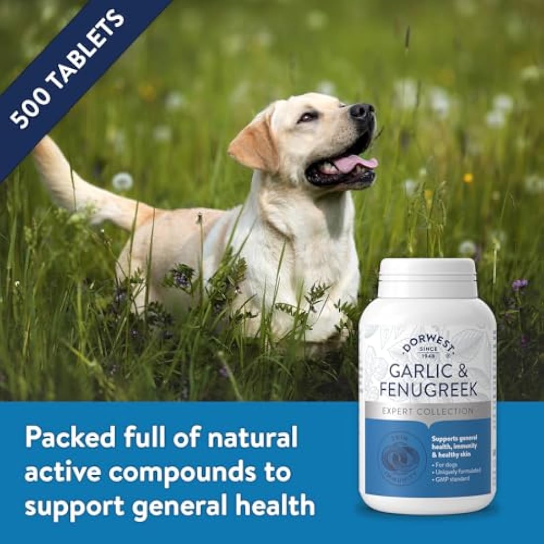 DORWEST HERBS Garlic and Fenugreek Tablets for Dogs 500 Tablets