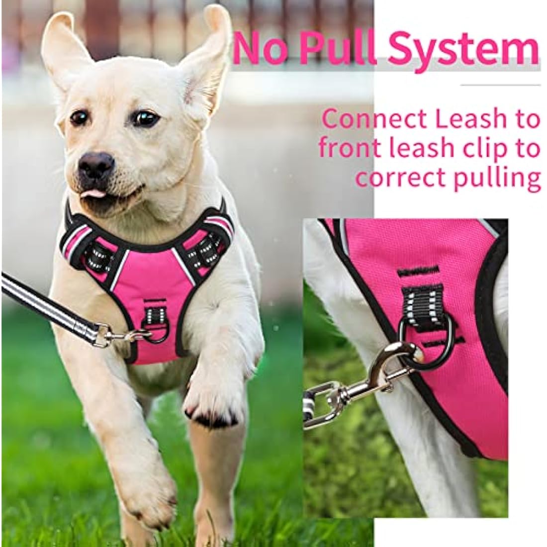 HEELE Dog Harness Dog Harness Small Dog No Pull Harness with Soft Handle Reflective Puppy Harness Adjustable, Rose, XS