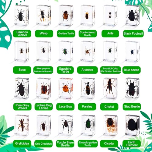 48 Styles Insect in Resin Specimen, Bugs Collection Paperweights Animal Specimen for Kids Bug Preserved in Resin for Scientific Education Office Desk Christmas Display Supplies