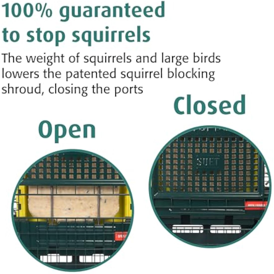 Squirrel-proof Bird Feeder for Suet Cakes - Jacobi Jayne Squirrel Buster Suet – Pigeon Proof Metal Bird Suet Feeder for Wild Birds – Easy Clean Hanging Suet Bird Feeder for Garden Birds