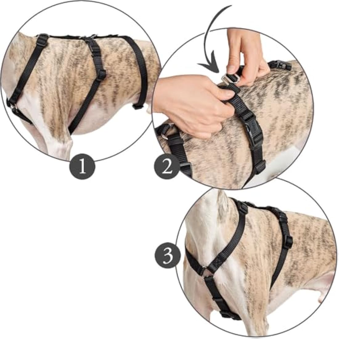 HUNTER Escape-proof harness Vario Rapid, L black, Nylon