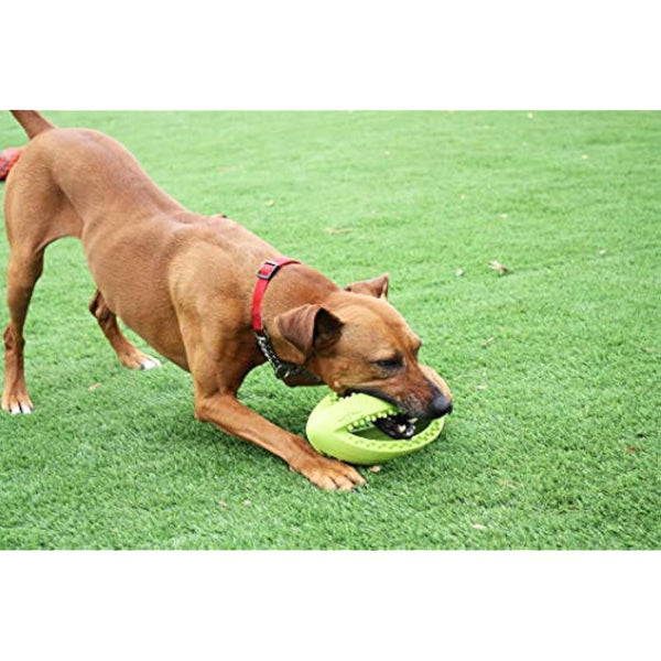 Happy Pet Grubber Rugby Ball Dog Toy Strong Fun Interactive Bouncy Chewing Outdoor Playing Catch Fetch Lightweight Tugging Pulling for All Breeds