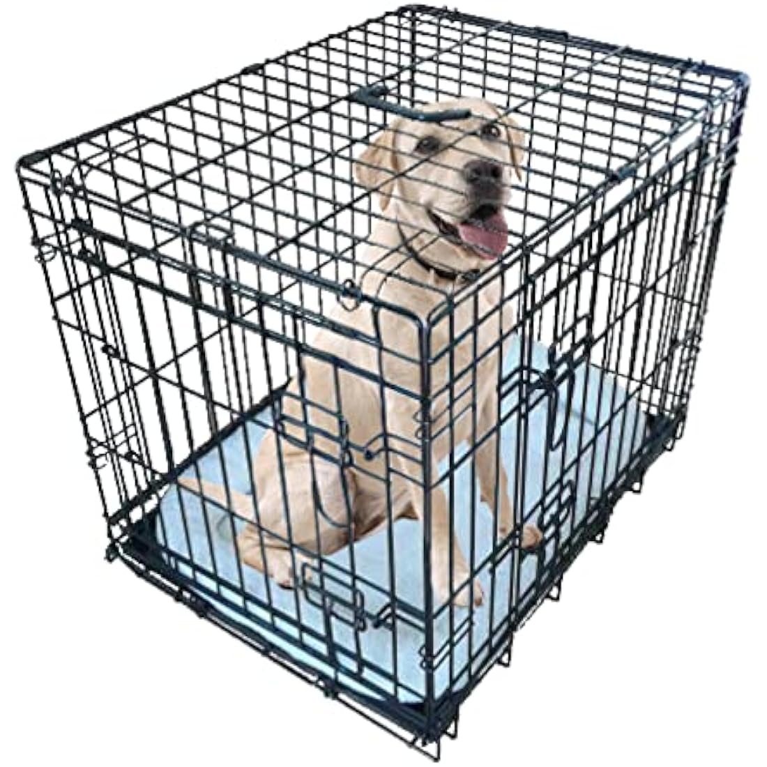 Ellie-Bo Black Deluxe Small 24-inch Folding 2-Door Dog Cage/Crate with Metal Tray and Dog Bed Mat