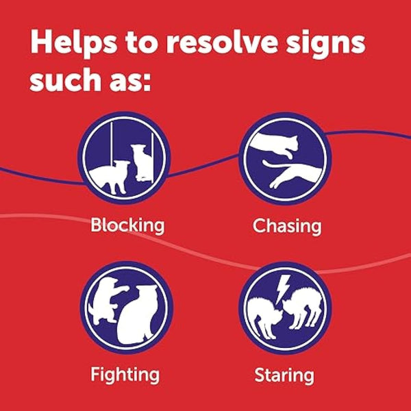 FELIWAY Friends 30 Day Cat Calming Plug In Pheromone Diffuser Starter Kit, 48ml - Helps create harmony and resolve conflict in multi cat households, Veterinary Recommended, Clinically Proven