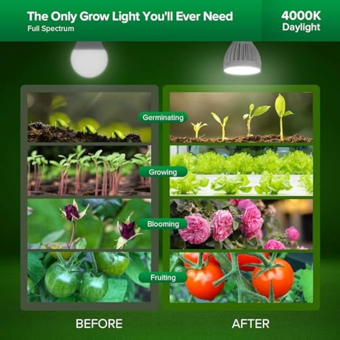 SANSI 24W LED Grow Bulb for Indoor Plants, Full Spectrum E27 Plant Growing Light Bulb 300W Equivalent for Seedlings Plants Flowers Fruits (PPF: 40μmol/s, 60° Beam Angle, Veg Coverage: 2x3 Sq Ft)