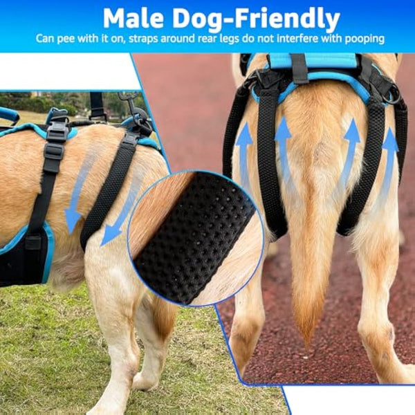 Lafoty Dog Lift Harness for Medium Male Dogs Friendly, Help Em Up Harness, Full Body Dog Carrying with Handles for Old/Disabled/Joint Injuries Dogs (Black, Medium)