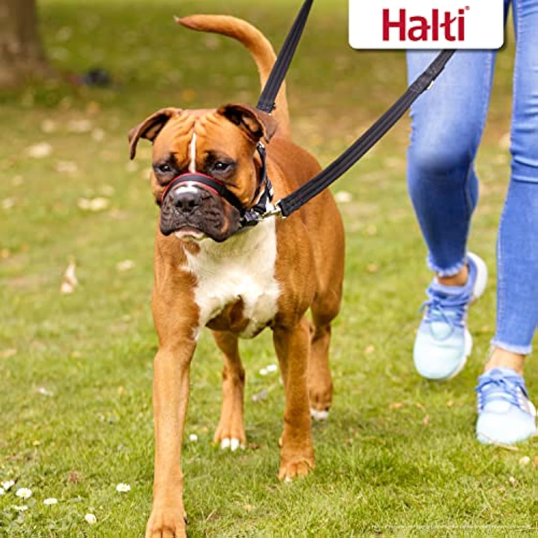HALTI Optifit Headcollar Size Medium, Dog Head Harness to Stop Pulling on the Lead, Easy to Use, Adjustable & Reflective Head Collar for Dogs, Professional Anti-Pull Training Aid, Black