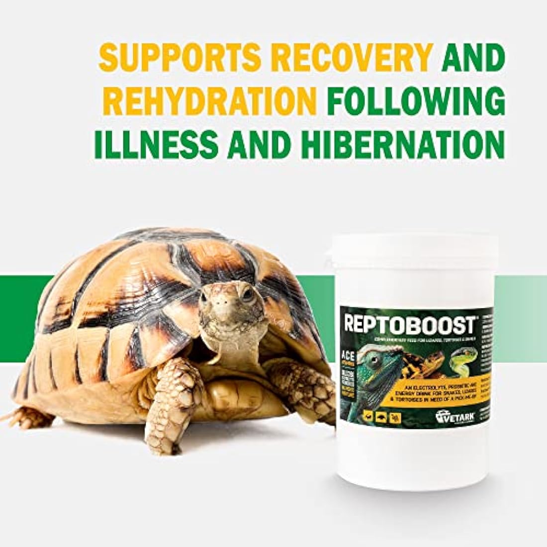 Vetark Reptoboost Power | Electrolyte & Probiotic boost for reptiles & Tortoise | Supports recovery following hibernation | Easy to give | 300g powder