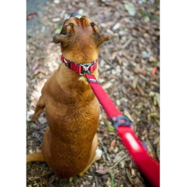 EzyDog Zero Shock Dog Lead - Shock Absorbing - Anti Pull Dog Lead for Medium Dogs, Leads For Large Dogs - Soft Double Handle, Traffic Control, 1.2m - Red