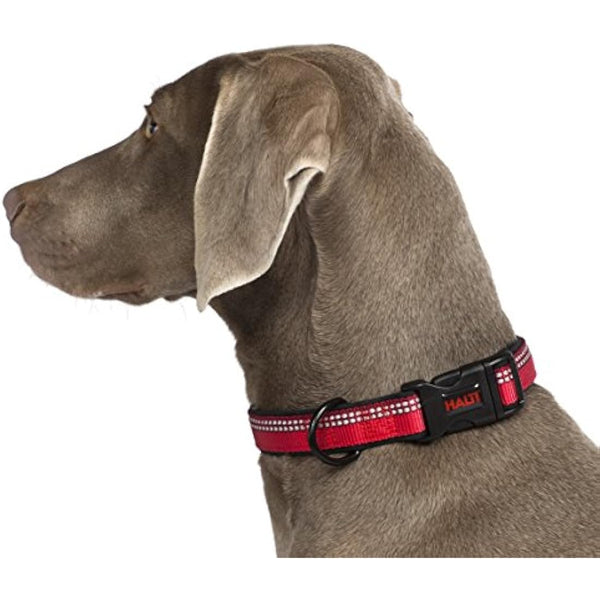 HALTI Collar, Size Medium, Purple, Best Comfy Dog Collar, Premium Puppy Collar, Nylon, Neoprene-Padded, Reflective, Easy to Fit & Use, For Small, Medium & Large Dogs