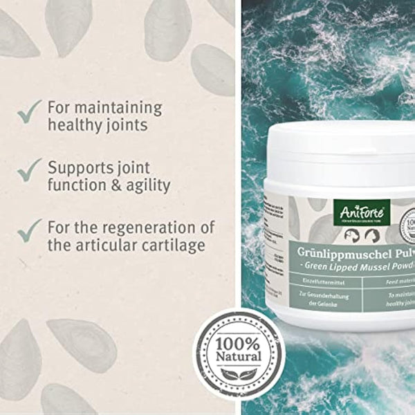 AniForte Green Lipped Mussel for Dogs and Cats 250g Powder - 100% Natural Joint Supplement with Glucosamine