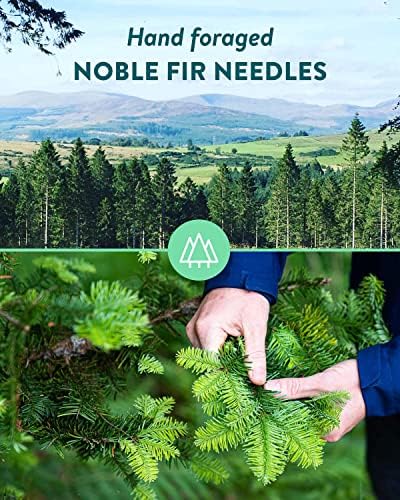 Hills and Harbour Gin 70cl (40% ABV) - Multi-Award Winning Scottish Craft Gin - Infused with Forest Fir, Tropical Fruits, Citrus Spice and Tangy Sherbet - Innovative New Eco-Friendly Bottle Available