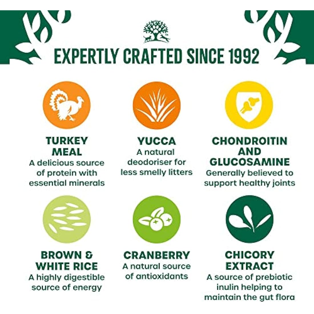 James Wellbeloved Adult Light Turkey 4 kg Bag, Hypoallergenic Dry Cat Food