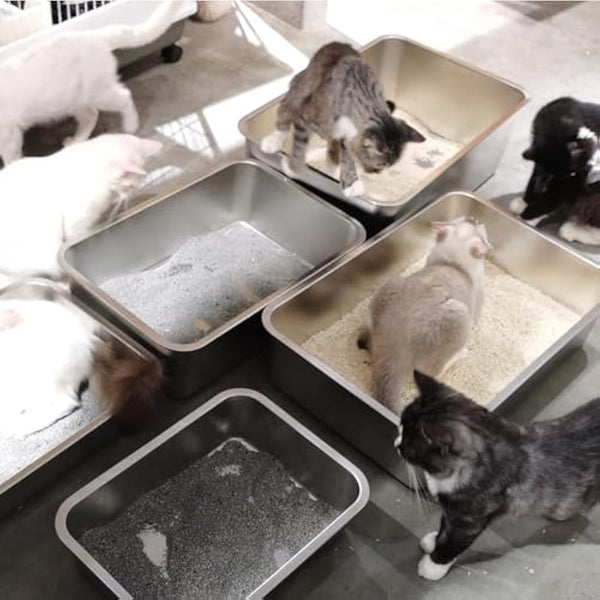 IKITCHEN Stainless Steel Cat Litter Box, Large Metal Litter Pan for Cats Rabbits, Never Absorbs Odors,Stain Free, Rustproof, Non Stick Smooth Surface, Anti-slip Rubber Bottom, 17.7"L x 13.7"W x 4"H