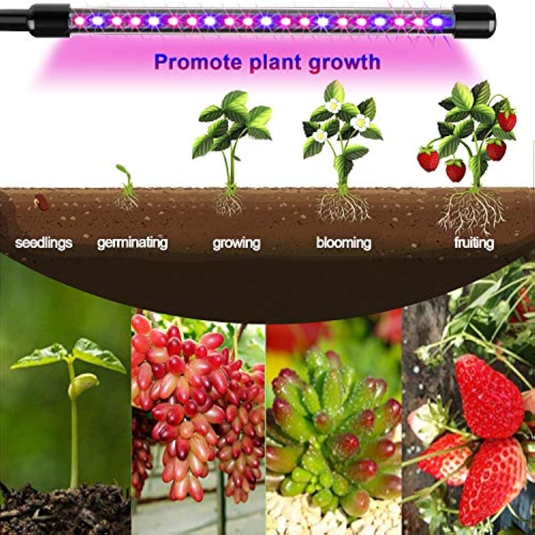 wolezek Grow Lights for Indoor Plants, 80 LEDs 4 Heads Full Spectrum Red & Blue Plant Light with Clip, Grow Lamp with 10 Dimming Level, 4/8/12H Auto Timer, 3 Switch Modes for Seedlings and Succulents