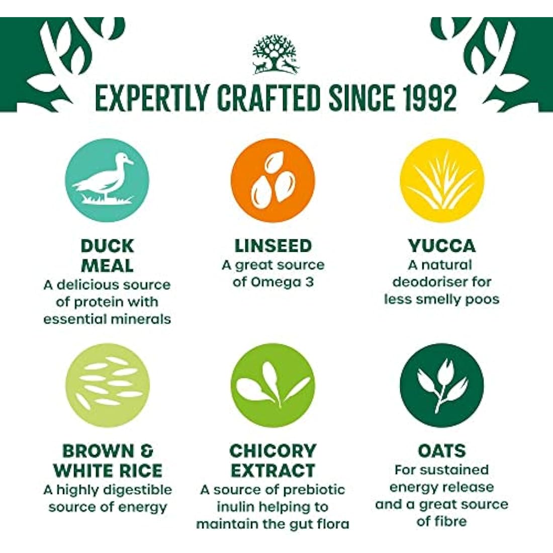 James Wellbeloved Adult Duck & Rice 15 kg Bag, Hypoallergenic Dry Dog Food