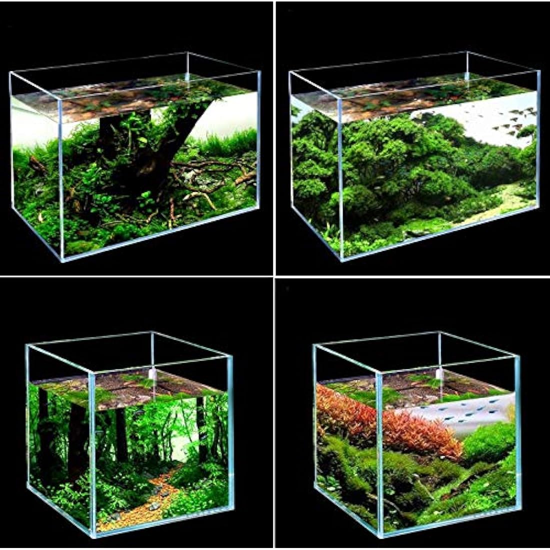 26 Litre Rimless Low Iron Glass Aquarium Tank (11.8" L × 11.8" W × 11.8" H / 30cm x 30cm x 30cm), Thickness Standard Jointed