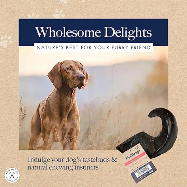 Hollings Buffalo Horn Standard Dog Treat, 100% Natural Grain Free Chew Treat for Adult Dogs, High in Protein and Naturally Low in Fat (1 Pack)