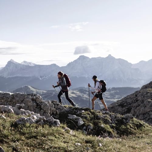 Salewa Unisex Ultra Train 18l Backpack Speed Hiking Backpack (pack of 1)