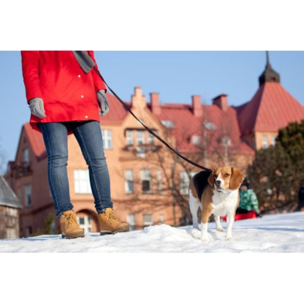 EzyDog Vario 6 Multi-Function Dog Lead, 3-6 foot, Black