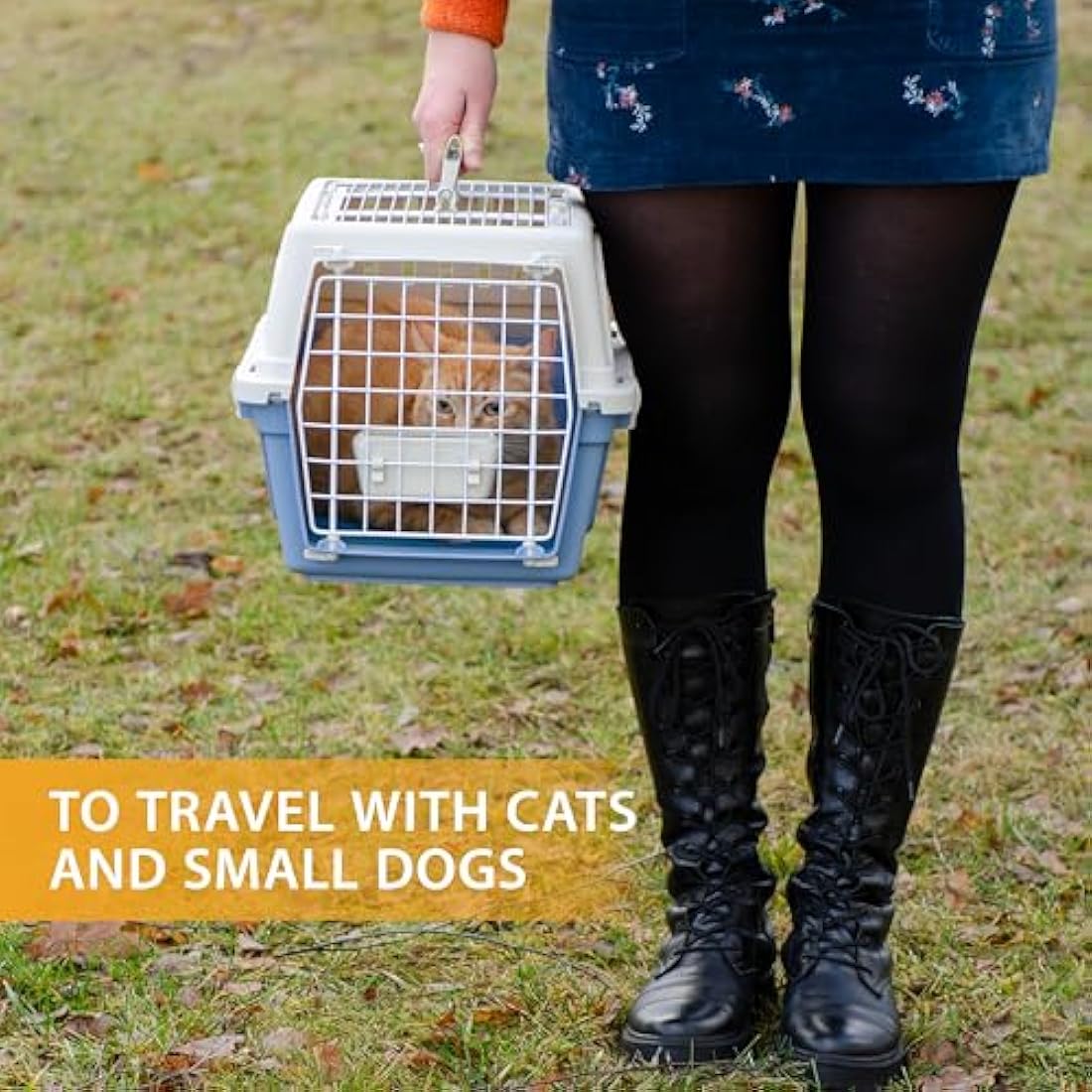 Ferplast Cat Carrier Small Dog Carrier, Double Opening, Secure, Practical, Easy to Clean, Durable Pet Travel Box up to 12 Kg, Includes Cushion, 60 x 40 x h. 38 cm