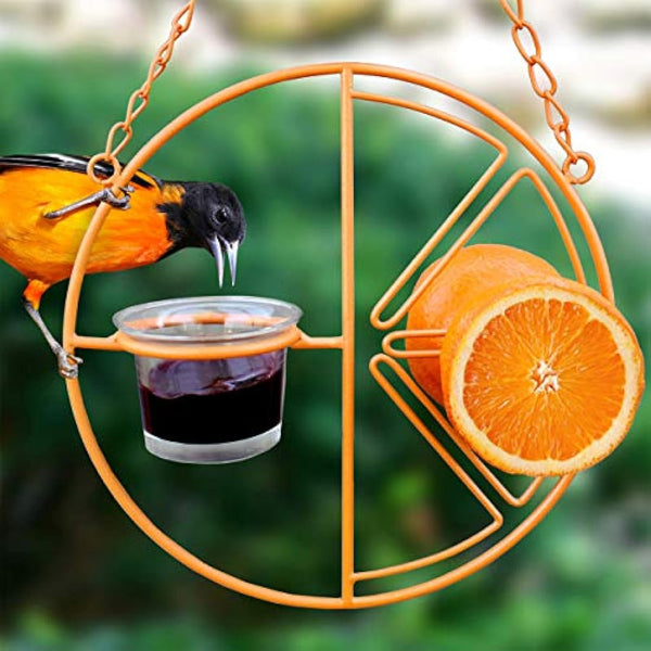 Heath Outdoor Products CF-133 Clementine Oriole Feeder, orange