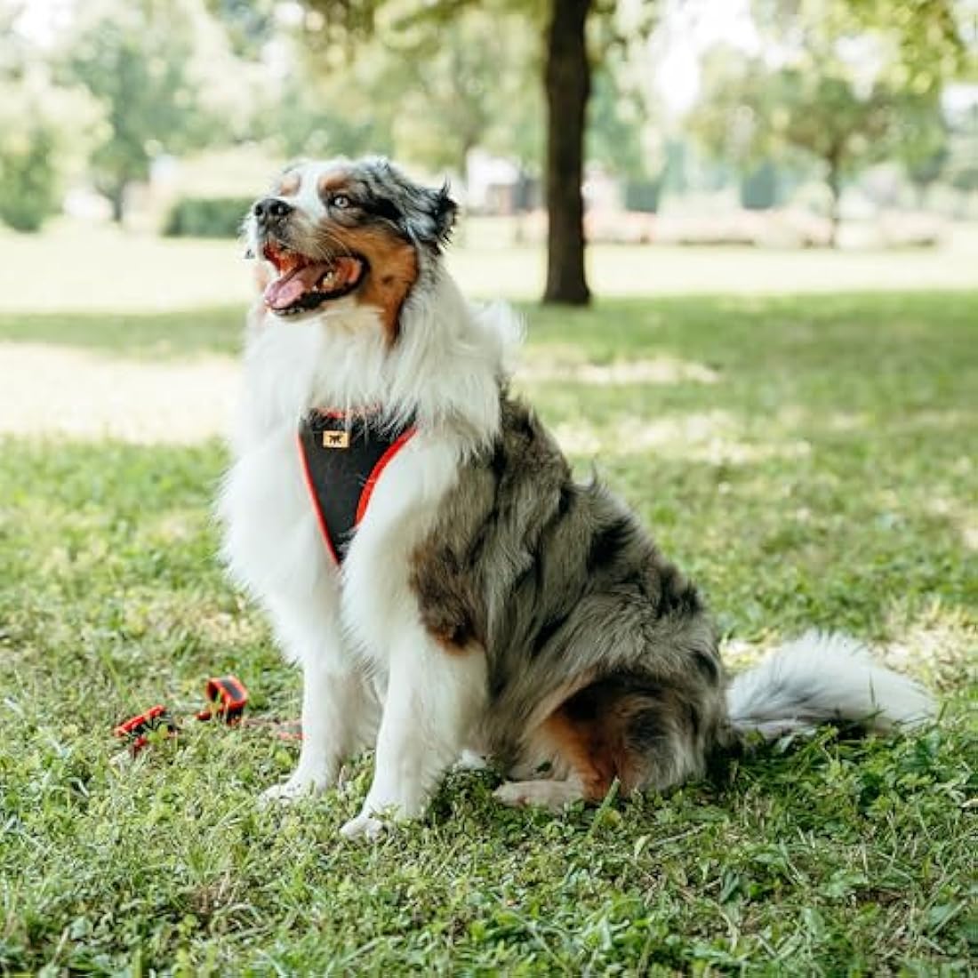 Ferplast Large Size Dog Harness ERGOCOMFORT LARGE, Adjustable Dog Harness, Comfortable, Padded, Double Micro-adjustment Closure, Quick Release, Red