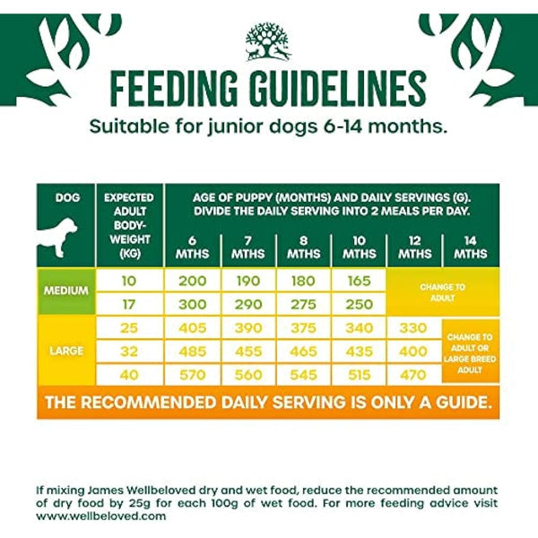 James Wellbeloved Junior Turkey & Rice 15 kg Bag, Hypoallergenic Dry Dog Food