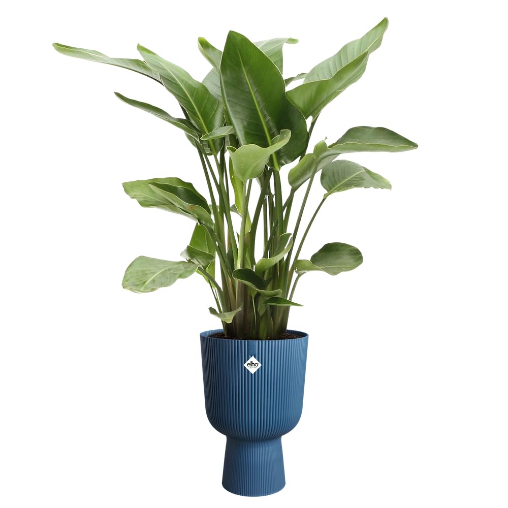 elho Vibes Fold Coupe 30 - Indoor Plant Pot - 100% Recycled Plastic - ? 29.5 x H 44.7 cm - Blue/Deep Blue